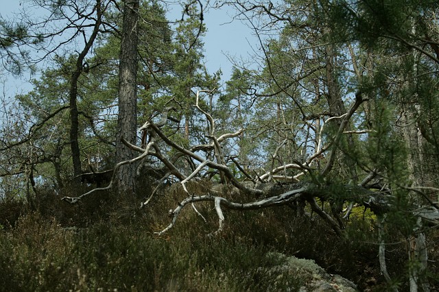 Burgenwanderung 2010 Bild 13